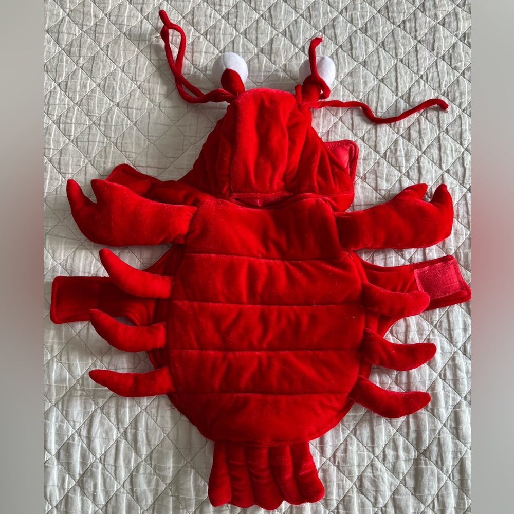 Red Lobster Dog Costume (Large)